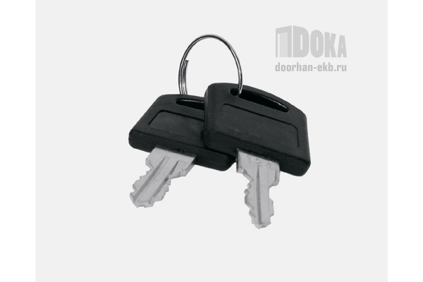 Ключи для устройства Doorhan KeySwitch N